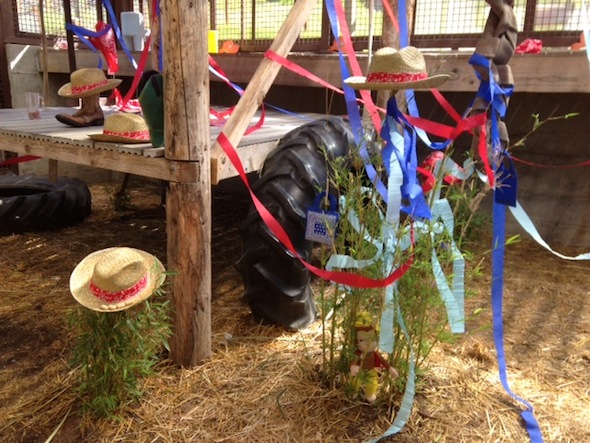 fb_hoedown_party_setup_dm2