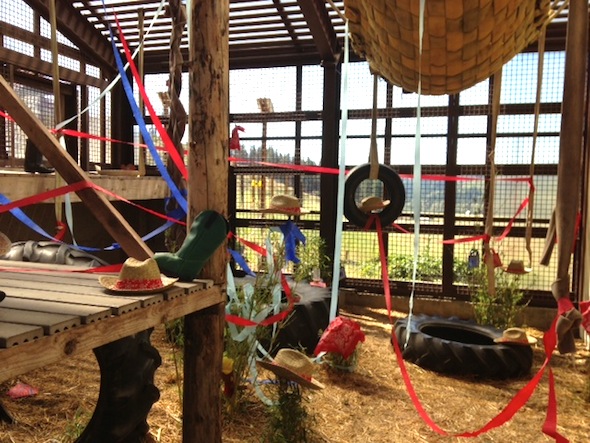 fb_hoedown_party_setup_dm3