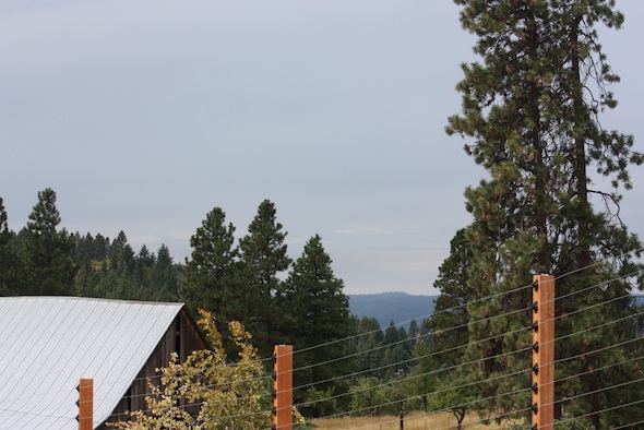 web_rain_clouds_over_the_barn_ls_IMG_3995