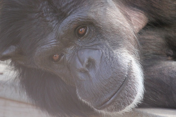 web_Annie_close_up_GH_ek_IMG_4135