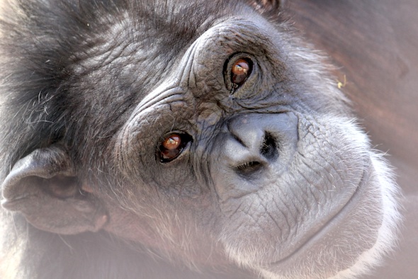 web_Annie_close_up_GH_ek_IMG_4663