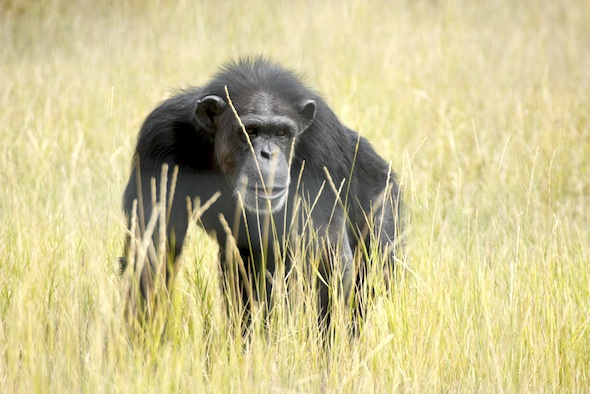 web_annie_grass_YH_dg_MG_4842
