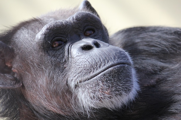 web_Annie_lie_close-up_face_climbing_structure_gh_dg_IMG_4544