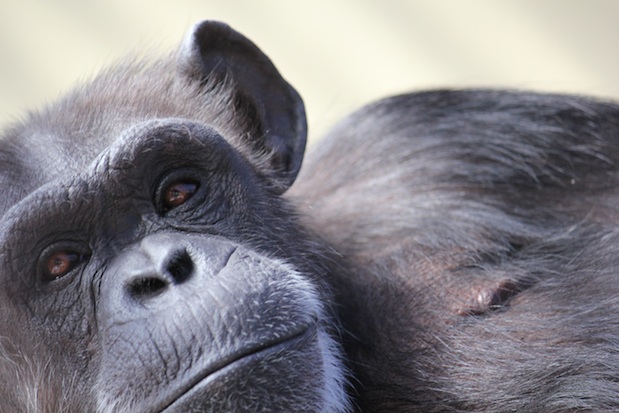 web_Annie_lie_close-up_face_climbing_structure_gh_dg_IMG_4545