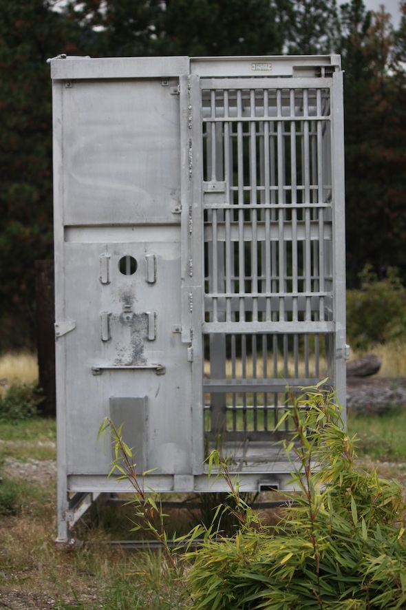 cage outside