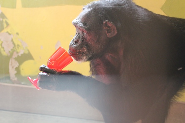 web_jamie_drink_from_red_glass_redfin_IMG_5348