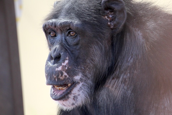 web_missy_close-up_relaxed_face_GH_ek_IMG_4170