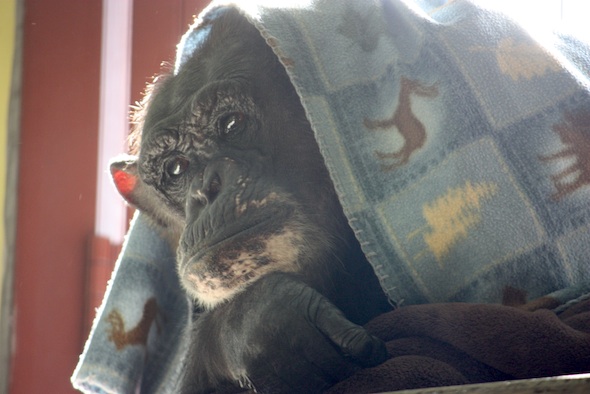 web_negra_under_blanket_PR_dm_IMG_5234