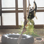 Missy climbing hose