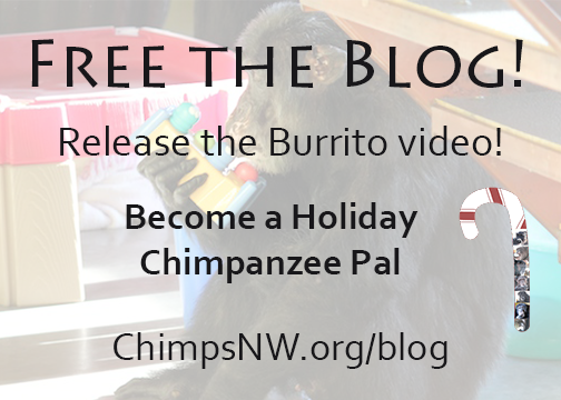 free the blog