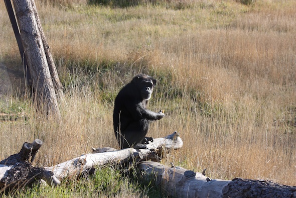 web_Annie_sit_on_log_YH_ls_IMG_5516