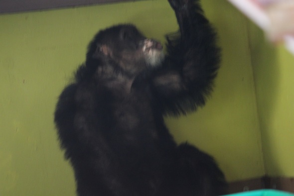 web_Burrito_blurry_pant_hoot_face_pilo_display_PR_ek_IMG_6382