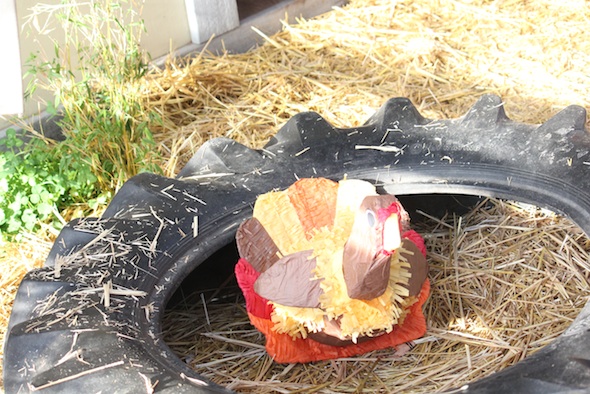web_Thanksgiving_turkey_pinata_party_GH_ek_IMG_6697