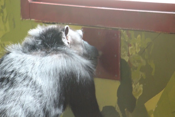 web_Annie_chow_drink_from_fountain_PR_jb_IMG_7210