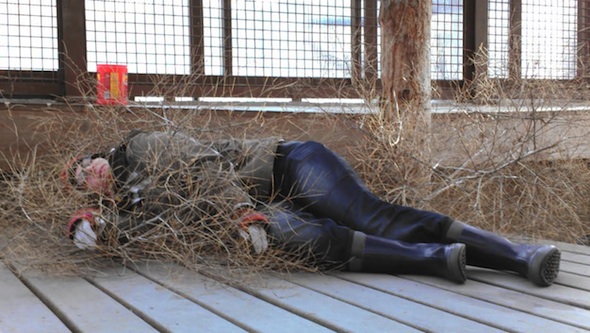 web_Debbie_comfort_testing_tumbleweed_nest_kd_