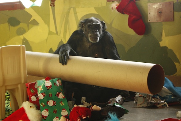 web_jamie_lift_tube_xmas_dg__MG_6514