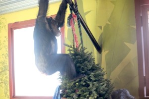 Missy stand xmas tree hanging