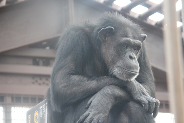 web_Annie_sit_arms-crossed_on-wooden-platform_GH_ls_IMG_7629