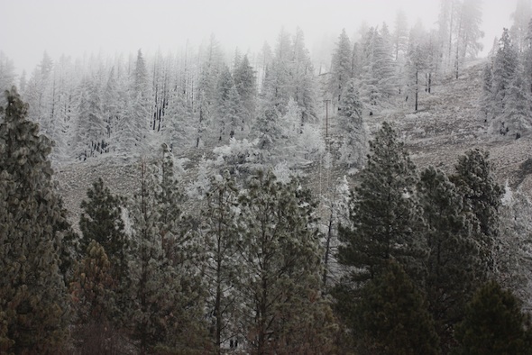 hoarfrost above young's hill
