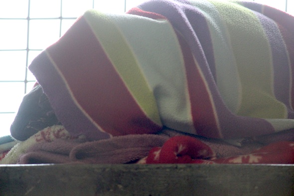 web_negra_covered_blanket_nest_PR_dm_IMG_7898