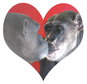 Share the love