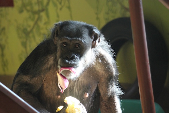 web_Jody_hold_eat_food_lunch_PR_ek_IMG_8689