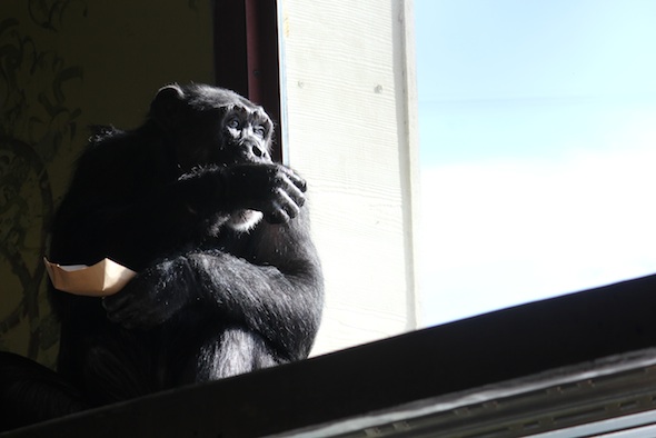 web_Missy_eat_food_look_out_window_lunch_PR_ek_IMG_8686