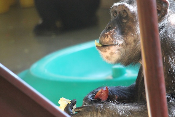 web_Missy_sit_at_base_of_stairs_hold_eat_food_lunch_PR_ek_IMG_8730