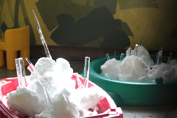 web_icicle_snow_forage_pr_dm_IMG_9177