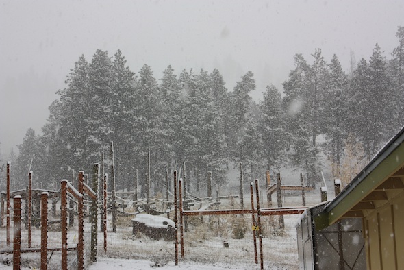 snowfall