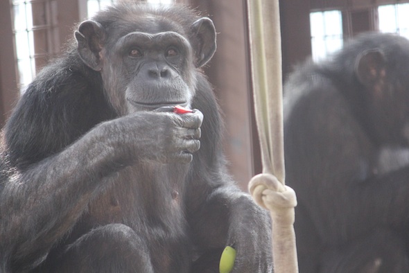 web_Annie_closeup_happy_look_up_food_in_hand_GH_ek_IMG_9870