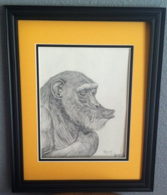 Missy graphite