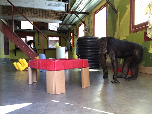 web_Annie_PR_barn_doors_jb