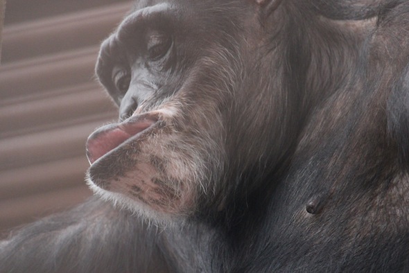web_Missy_look_lip_close-up_gh_dg_IMG_0443