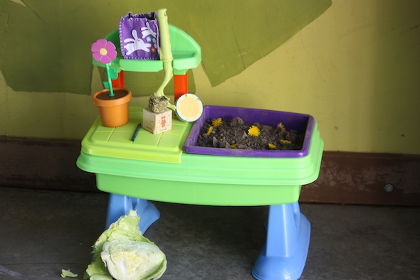 web_garden_table_pr_dm_IMG_8842