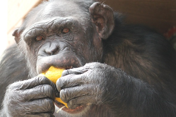 web_Jamie_lemon_mouth_IMG_9219