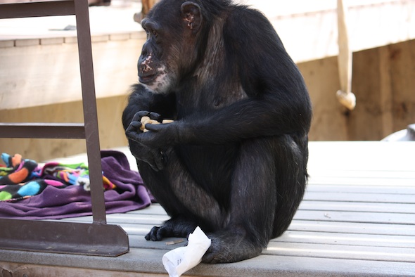 web_Missy_hold_eat_chow_bag_in_foot_lunch_GH_ek_IMG_3700