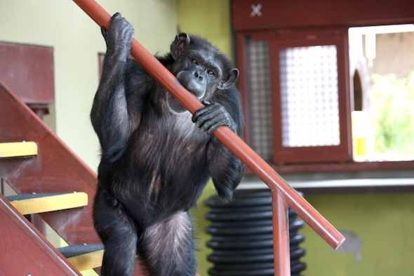 web_annie_playbite_stair_rail_cute_PR_ek_IMG_8981