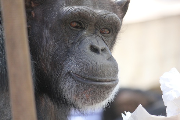 web_Annie_close_up_chow_bag_look_at_camera_GH_ek_IMG_0854