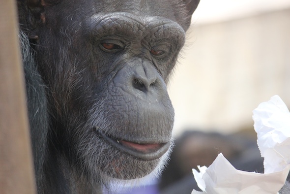 web_Annie_close_up_chow_bag_look_down_GH_ek_IMG_0855