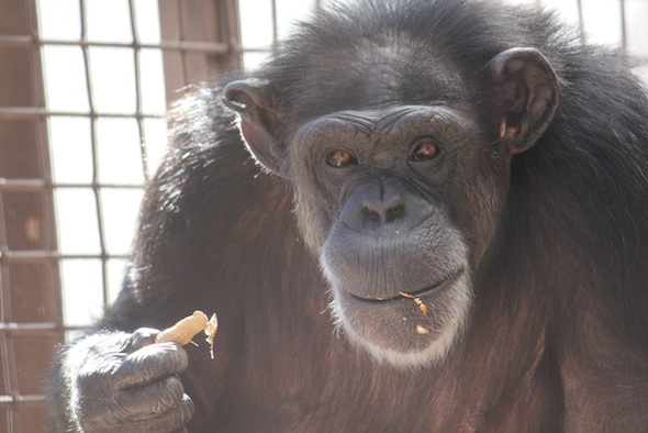 web_Annie_close_up_eat_peanut_GH_ek_IMG_0844