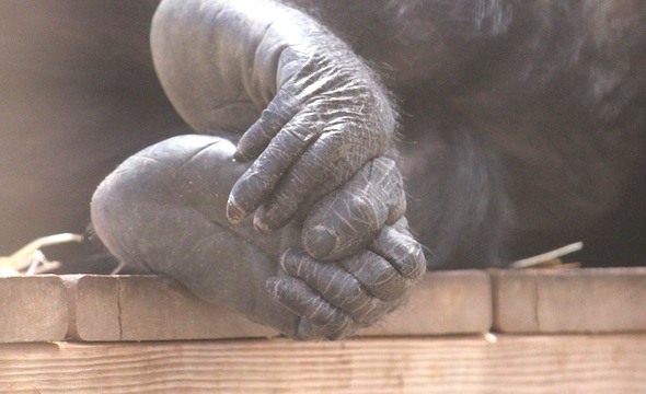 Annie holding feet together