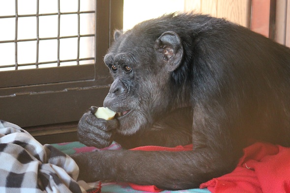 web_Jody_eat_potato_lunch_FR4_ls_IMG_0536