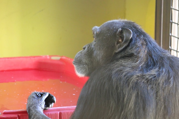 web_Jody_water_table_PR_ls_IMG_1483