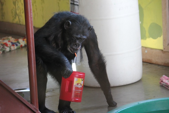 web_Missy_carry_drink_enrichment_PR_ls_IMG_1516