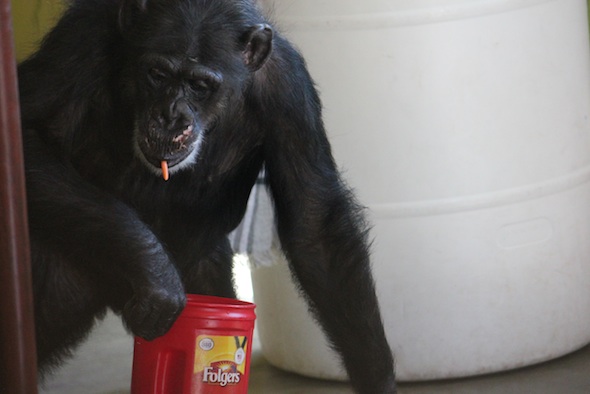 web_Missy_closeup_carry_drink_enrichment_PR_ls_IMG_1517
