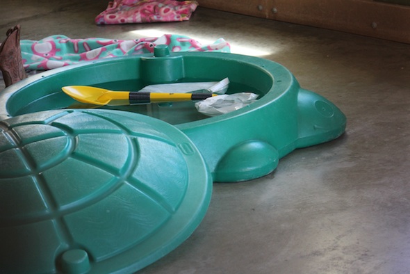web_water_in_turtle_pool_enrichment_PR_ls_IMG_1543