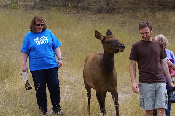 Ellie, J.B., Martha, Susie