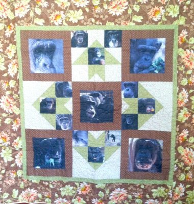 resize-chimp_quilt_lisa_dieumegard_