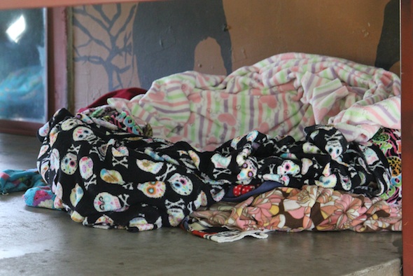 nest in Negra's winter spot